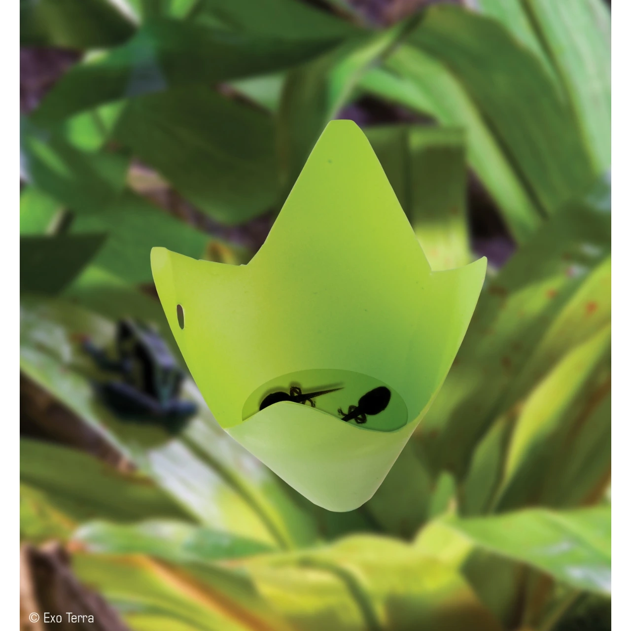 Exo Terra Bromelia Medium